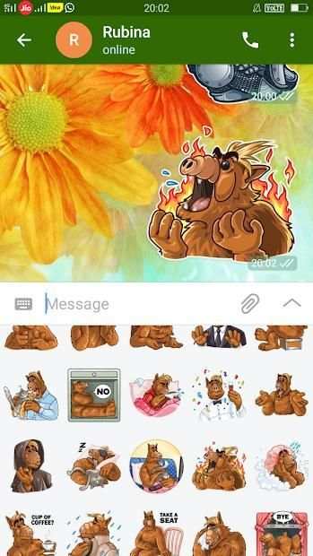 Pigo Chat: All in One Messenger screenshot 2