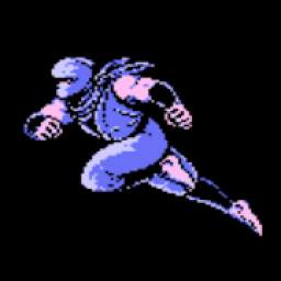 Ninja Gaiden Arcade 1.0.0
