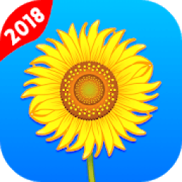 Gallery आइकन