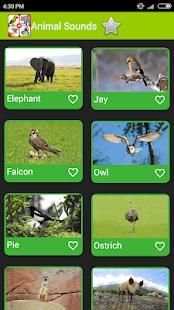 Real Animal Sounds 2 تصوير الشاشة