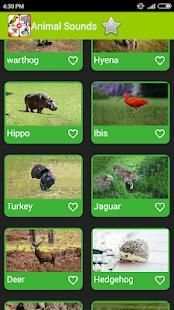 Real Animal Sounds 4 تصوير الشاشة