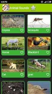 Real Animal Sounds 3 تصوير الشاشة