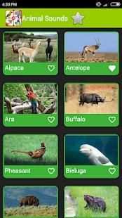 Real Animal Sounds 5 تصوير الشاشة