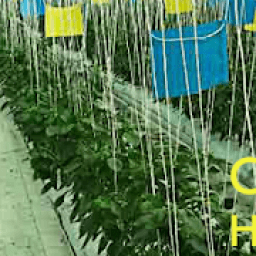 ikon Image App Slider