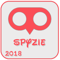 ikon Spayzie - Pro