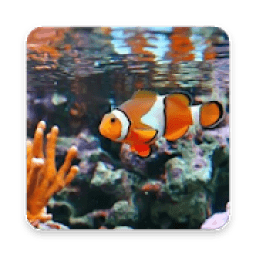 ikon Clown Fish Wallpaper