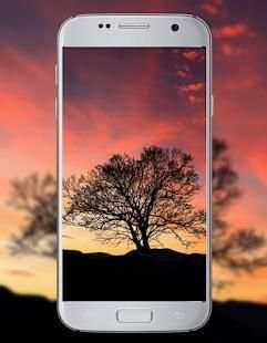 HD Nature Wallpaper screenshot 3