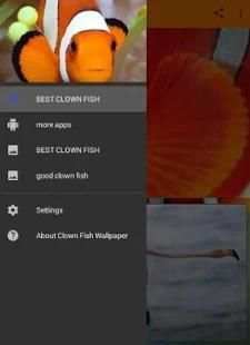Clown Fish Wallpaper screenshot 3