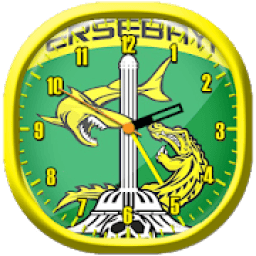 Persebaya Wallpaper Clock Live icon