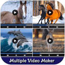 Multiple Video at Same Time 1.0