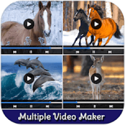 ikon Multiple Video At Same Time