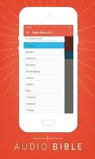 Audio Bible NIV Offline screenshot 2