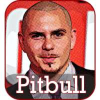 Pitbull Songs 2018 on 9Apps