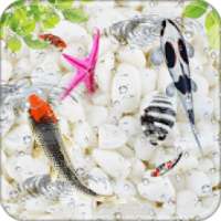 Aquarium Fish Live Wallpaper 2018 on 9Apps