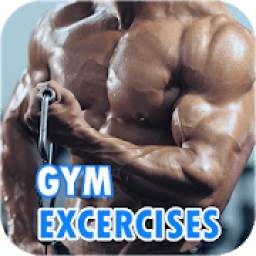 Gym Workout - Gym Exercises