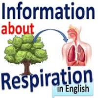 Respiratory System - English