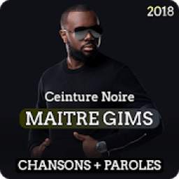 Maître Gims 1.1