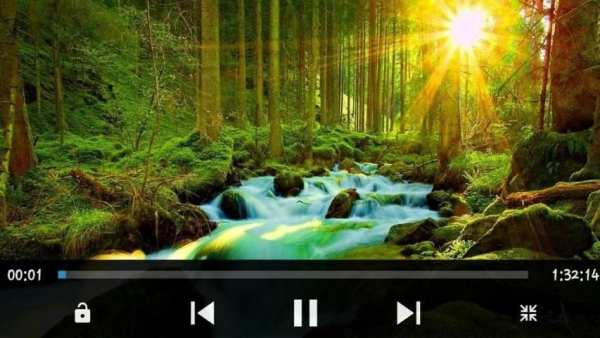 Full HD Video Player screenshot 4