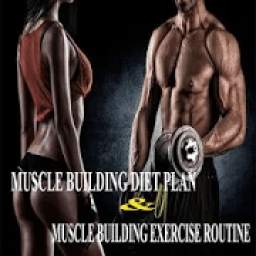 Muscle Building Diet Plan & Excercise