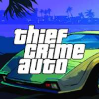 Thief Crime Auto