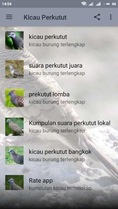 Suara Burung Perkutut Lengkap screenshot 3