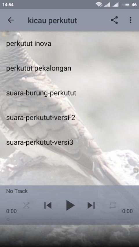 Suara Burung Perkutut Lengkap screenshot 2
