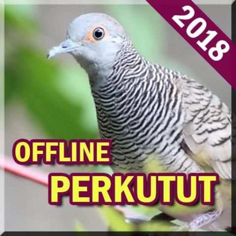 Suara Burung Perkutut Lengkap screenshot 1