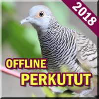 Suara Burung Perkutut Lengkap on 9Apps