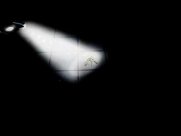 FlashLight - Led torch light screenshot 1