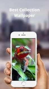 Chameleon Wallpaper HD 3 تصوير الشاشة