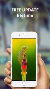 Chameleon Wallpaper HD 2 تصوير الشاشة