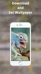 Chameleon Wallpaper HD 1 تصوير الشاشة
