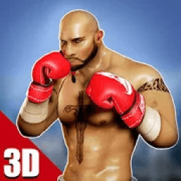 World Boxing 3D - Real Punch : Boxing Games icon