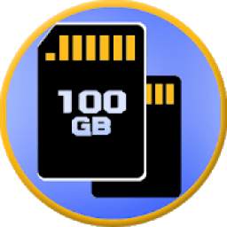 +100GB Memory card