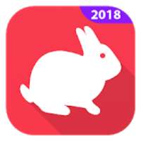 VPN Rabbit - Everyone's Favorite Free VPN 2018