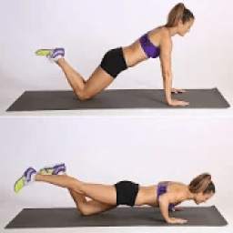 Exercise & Body Fitness