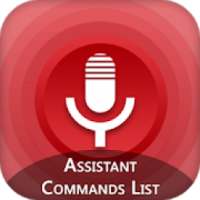 OK Google Voice Commands on 9Apps