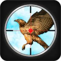 Bird Hunting 3d : Archery Bird Shooter logo