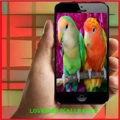 Wallpaper Burung Lovebird 3d Image Num 83