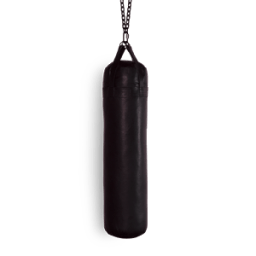 ikon Real punching bag
