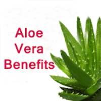 Aloe Vera Benefits