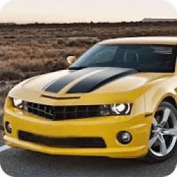 Chevrolet City Driving icon