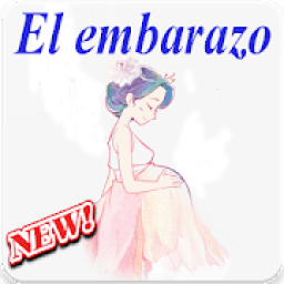 semanas de embarazo icon