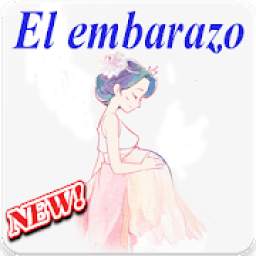 semanas de embarazo 1.0