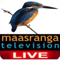 Maasranga Tv Live