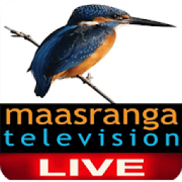 Maasranga Tv Live icon