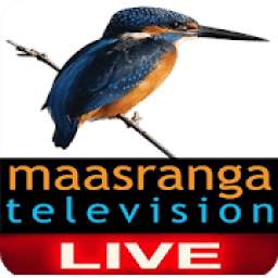 Maasranga Tv 5.1