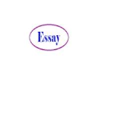 Essay Writing 3