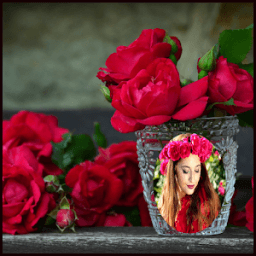 ikon Red Rose Photo Frames HD