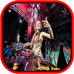 ikon DJ Tik Tok Remix 2018